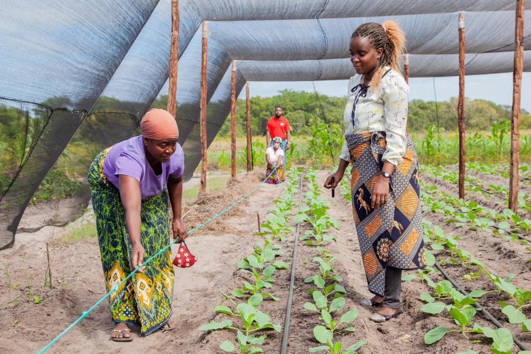 Moçambique e Itália fortalecem parceria no sector agrário