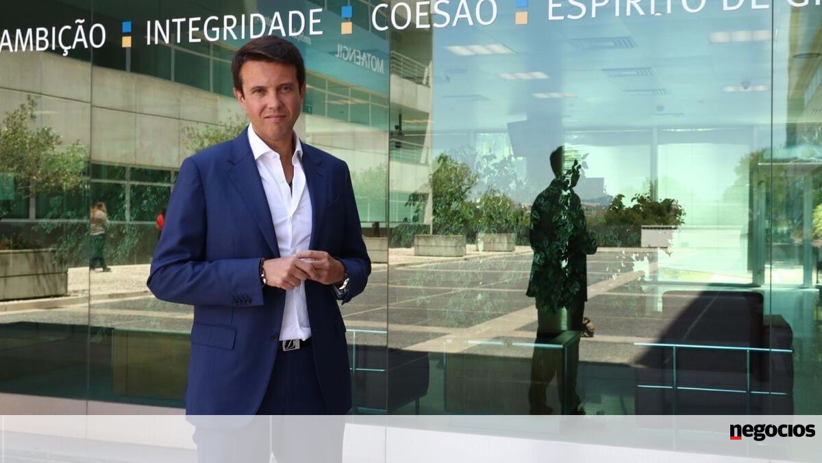 Mota-Engil dispara mais de 8% depois de vencer concurso para