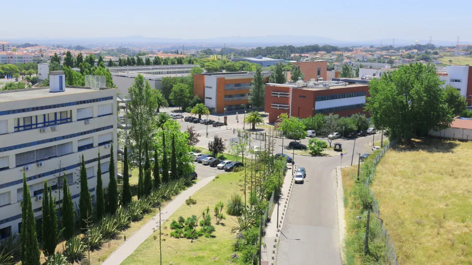Nova FCT criou selos de autencidade impossíveis de...