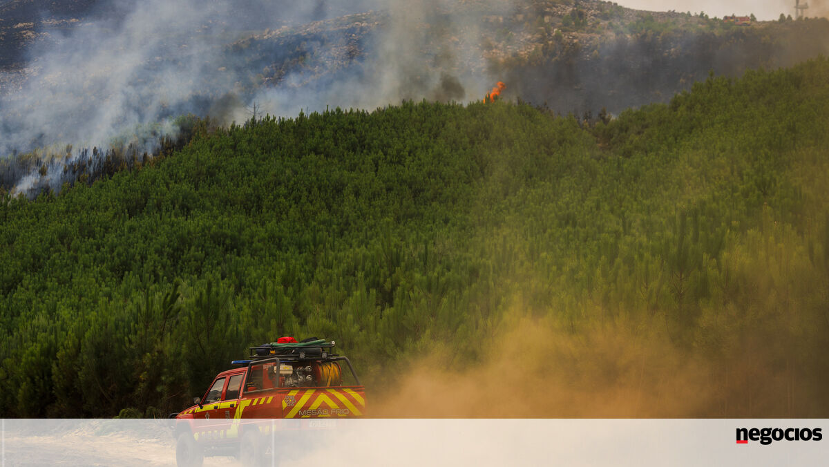 Quase um terço dos fogos investigados este ano tiveram como