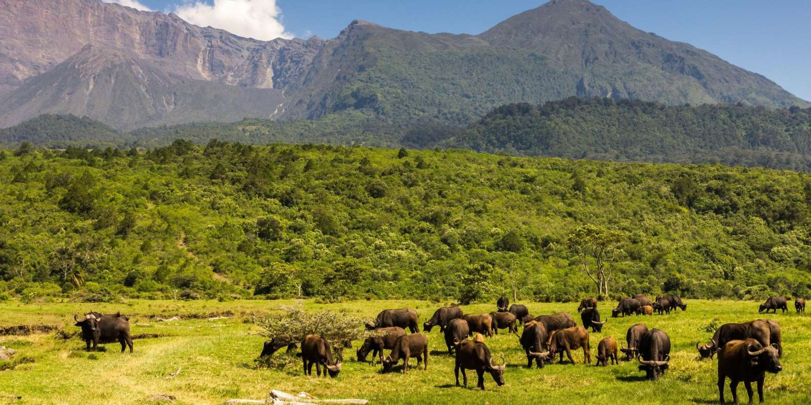 Receitas de 2024 Renderam 3,7 Milhões de Meticais às