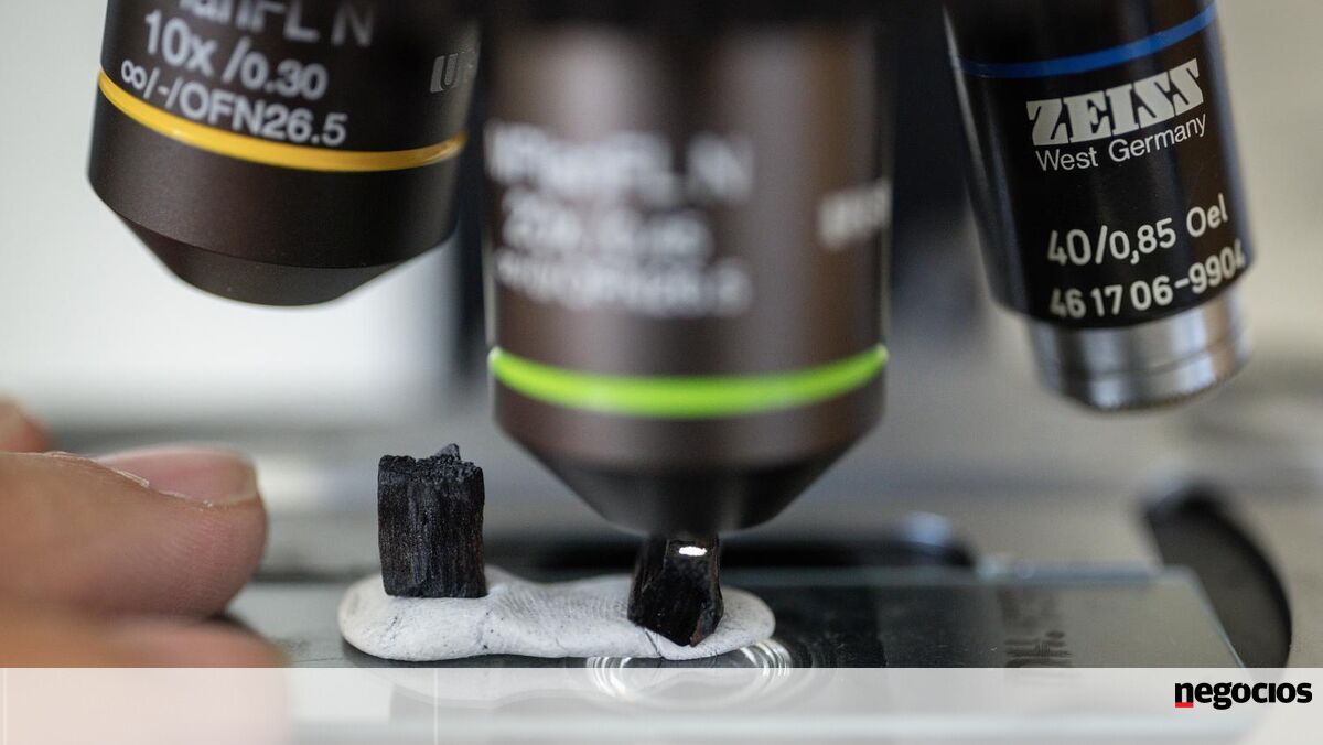 Reitores e investigadores temem criticam "falta de