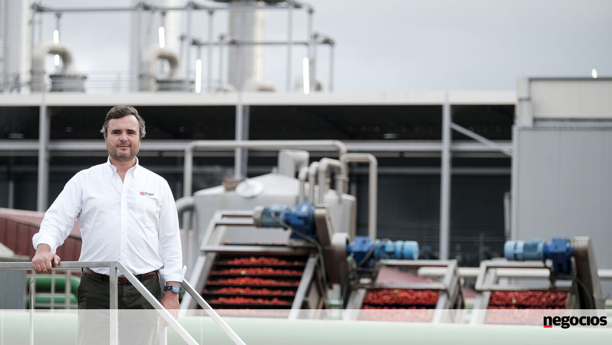 Sugal investe 49 milhões na eficiência energética em