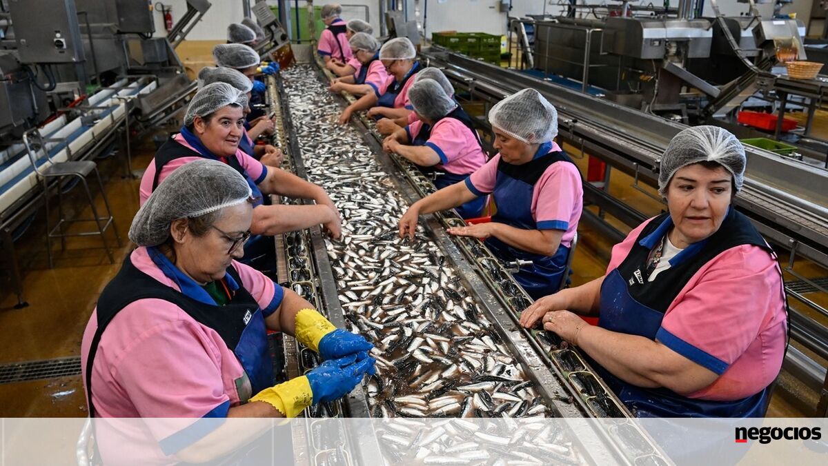 Trabalhadores abrangidos por despedimentos coletivos sobem