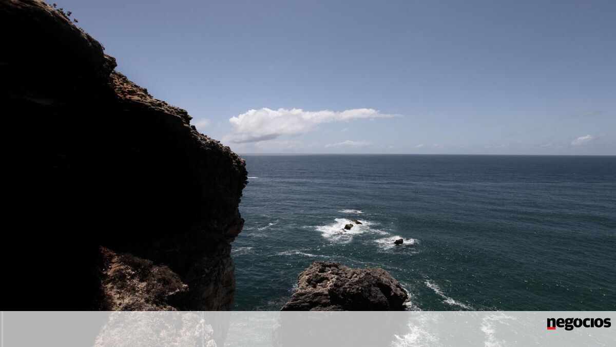 Tratado do Alto Mar já foi ratificado por 60 países e entra