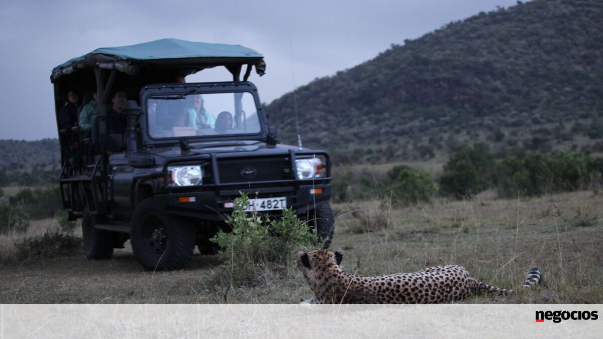 Uber também faz safaris e aponta a mercado de 4,3 mil