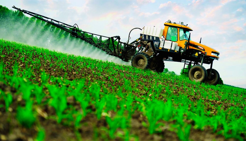 Zimbabué Exporta Mais de 40% da Sua Horticultura Para a...