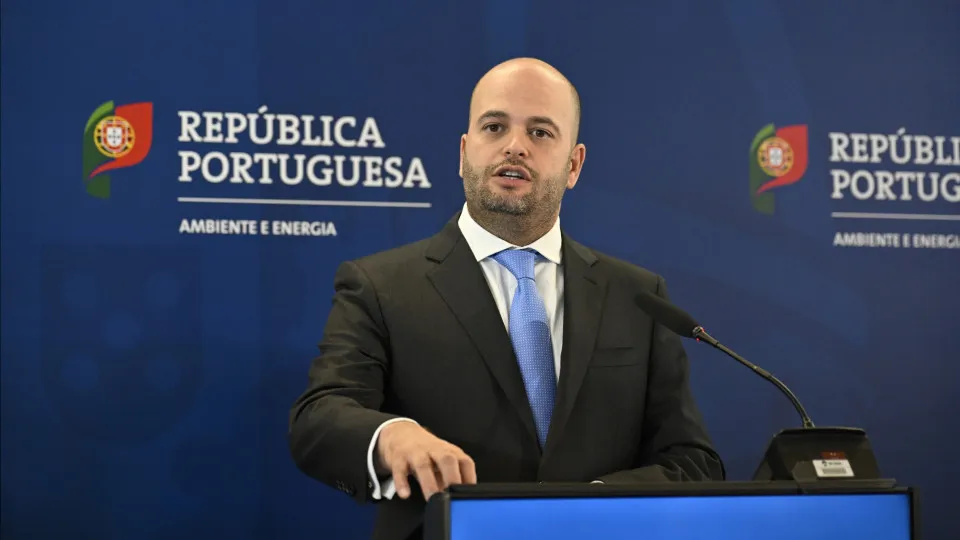 Eletricidade complementada pelo gás é solução para transição