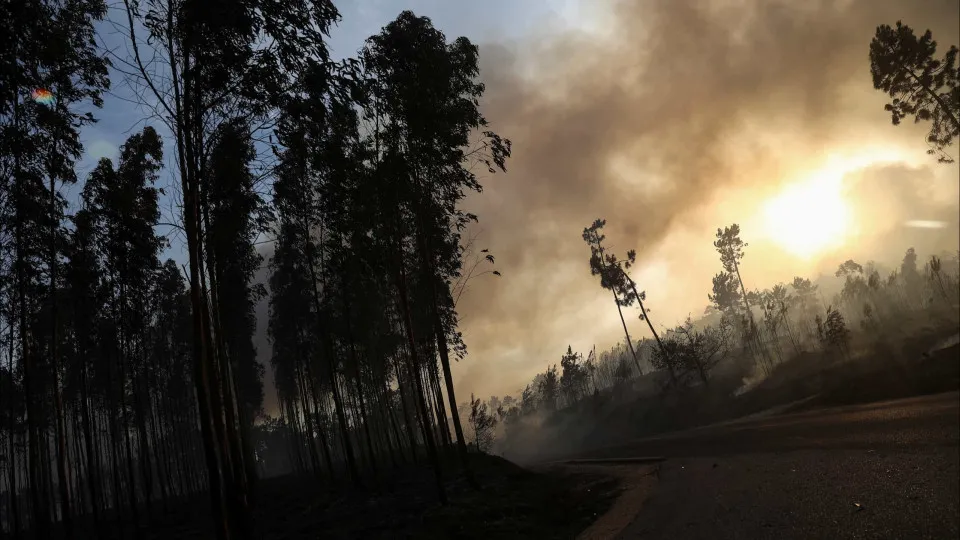 Governo já apoiou em 3,7 milhões os agricultores afetados