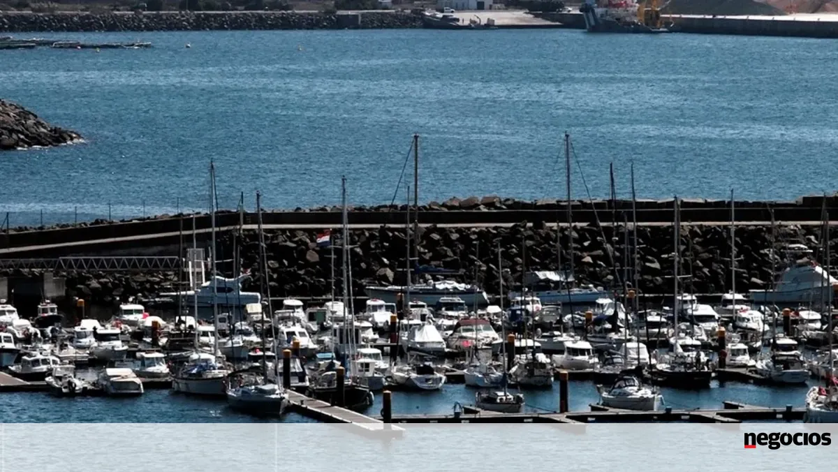Carregadores avisam que greve nos portos “está a provocar