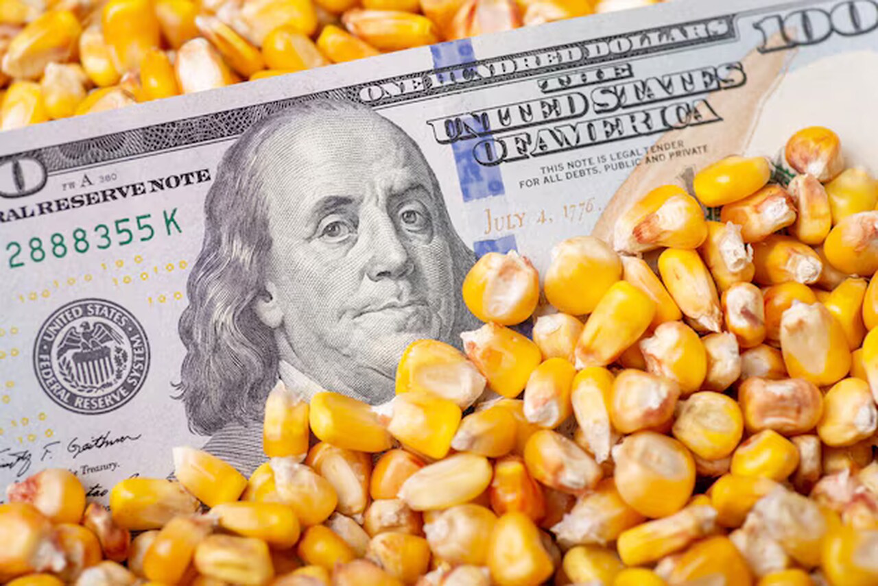 China Disponibiliza 3,5 M$ Para Projecto de Ajuda Alimentar...