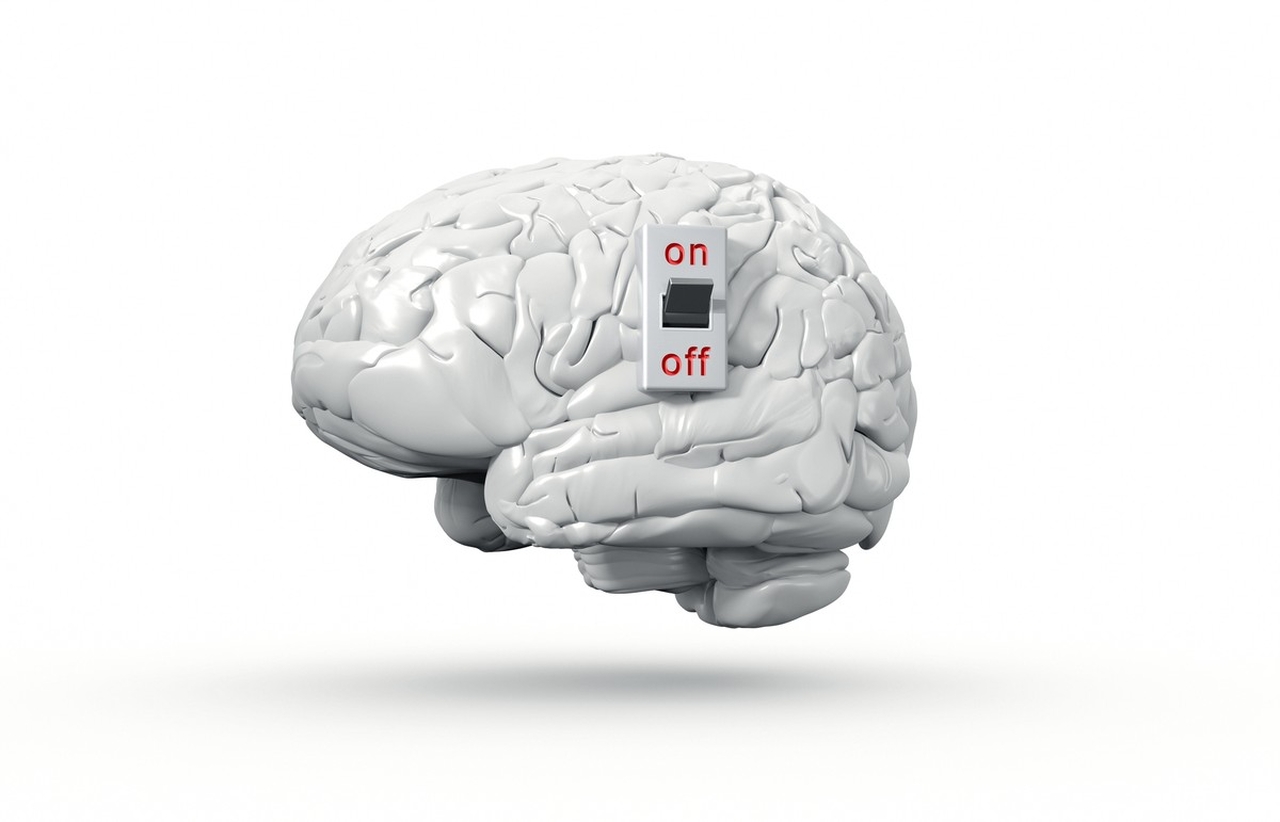 Cientistas Descobrem Proteína no Cérebro Que Pode Ajudar a...