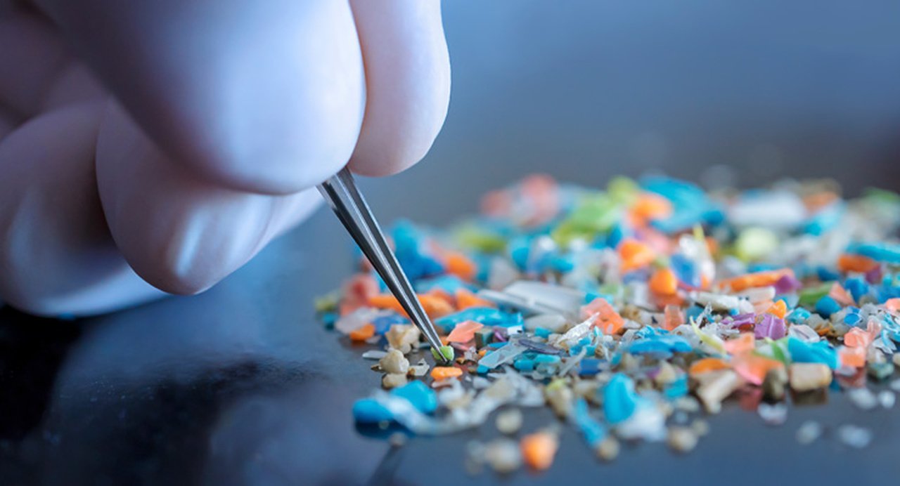 Cientistas Encontram Evidências de Que as Plantas Absorvem...