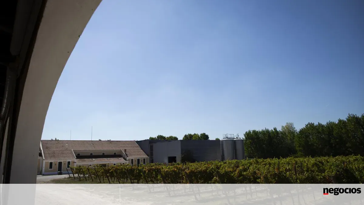 Companhia das Lezírias quer pôr património a ajudar na crise