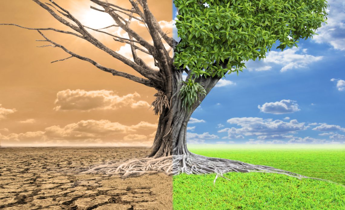 “Continente Deve Priorizar Adaptação Climática em Vez de...