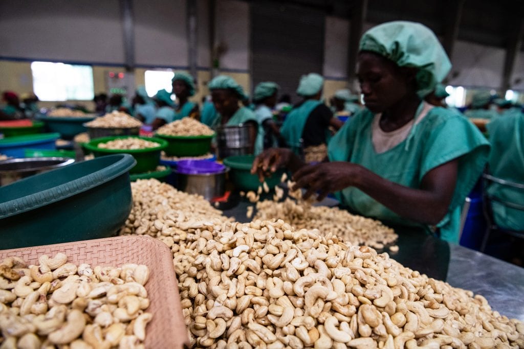 Contrabando de Caju Causa Prejuízo de 1,7 M$ ao Estado •