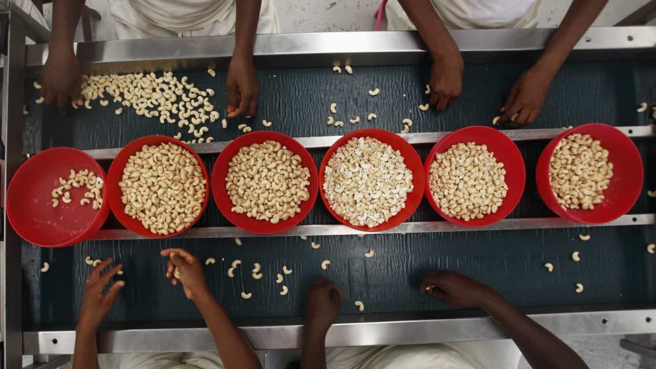 Crescimento do Negócio do Caju “Está a Mudar a Vida Das