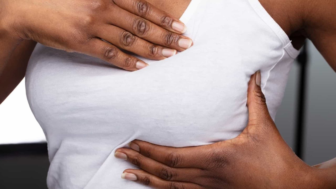 Estudo Revela Como a Enzima EZH2 Impulsiona a Propagação do...