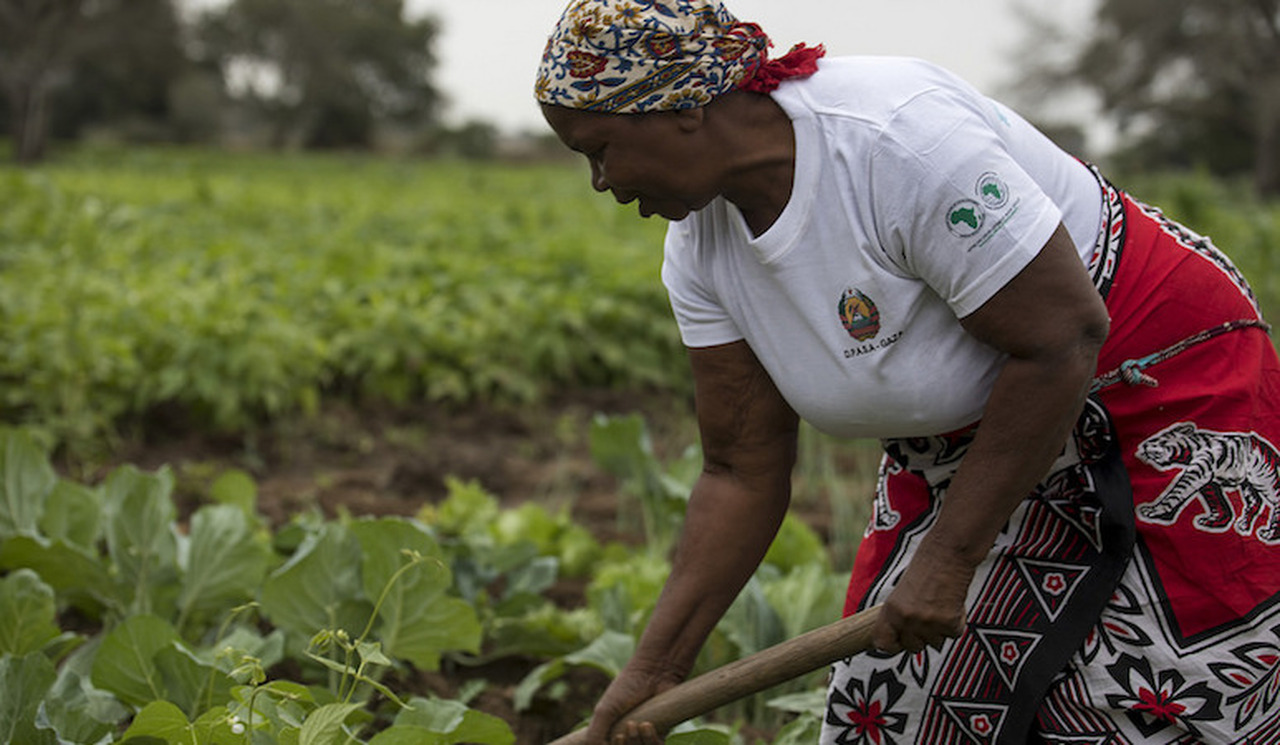 FIDA Elege PROCAVA Moçambique Como Melhor Programa do Seu