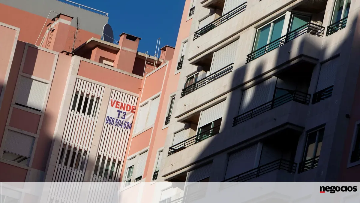 Garantia pública põe jovens a valer 60% do novo crédito à