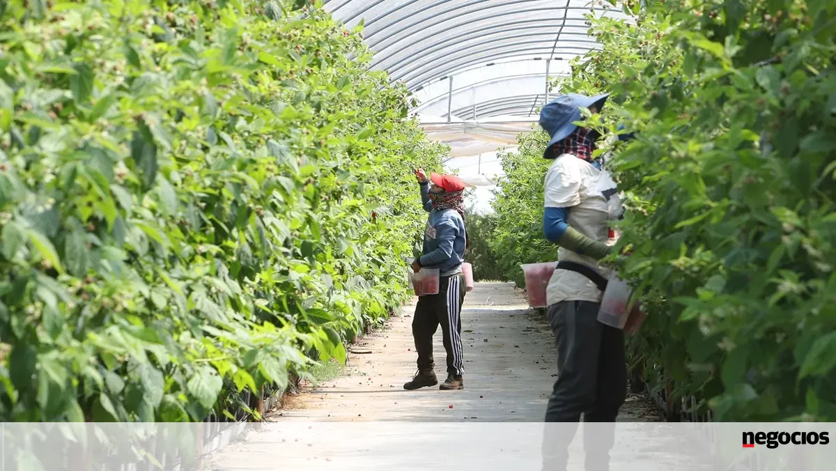 Investimento em defesa à custa da PAC? Agricultores