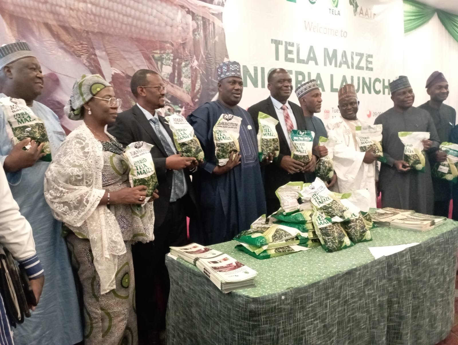 Milho biotecnológico gera ganhos na Nigéria