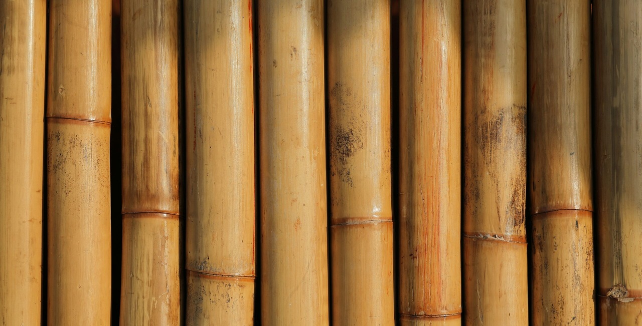 Novo Plástico Biodegradável à Base de Bambu Combina...