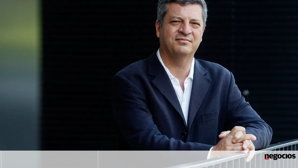 Nuno Garoupa: “SNS e imigração são duas áreas em que é