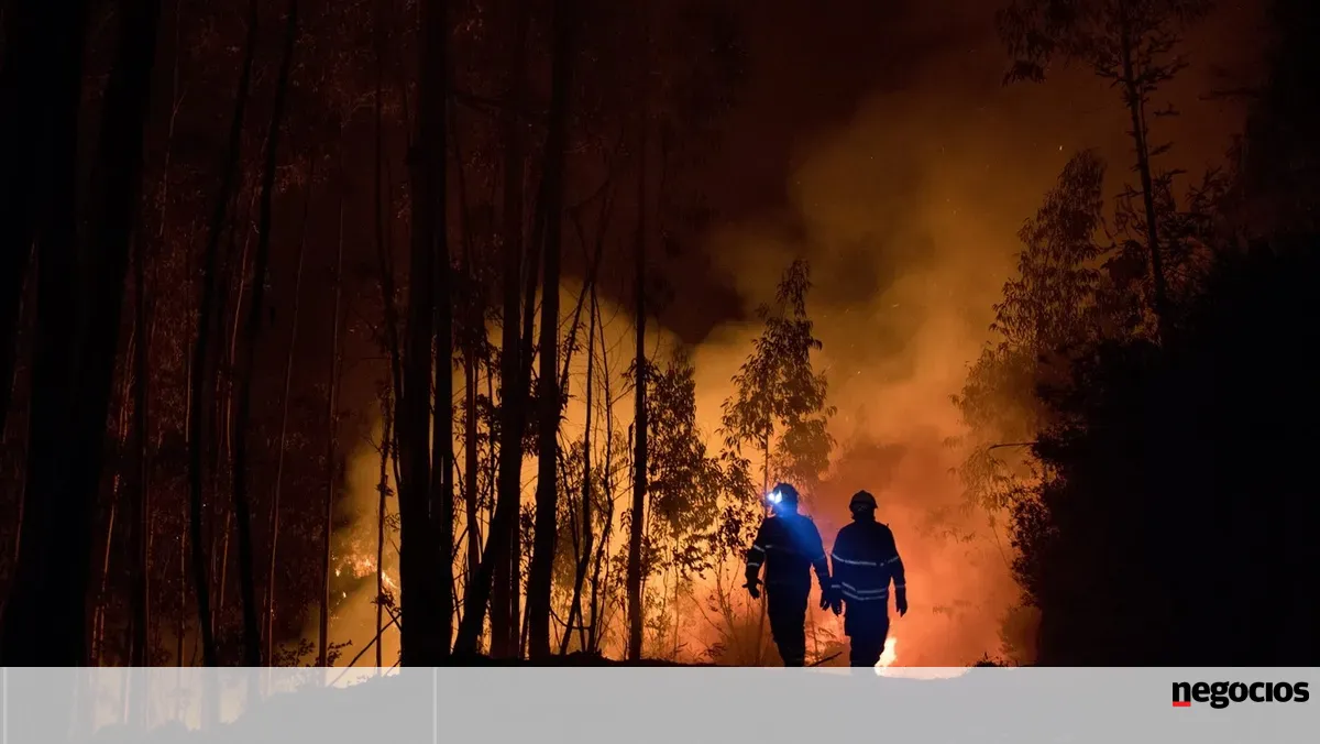 O impacto emocional das alterações climáticas -