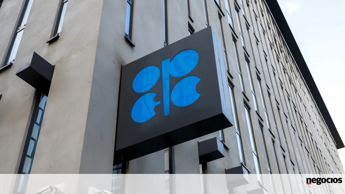 OPEP+ volta a aumentar produção de petróleo em novembro -