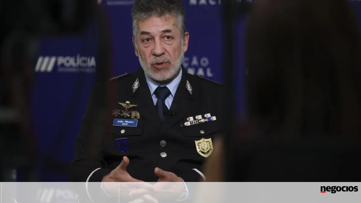 PSP estima em "largas dezenas de milhares" os imigrantes em