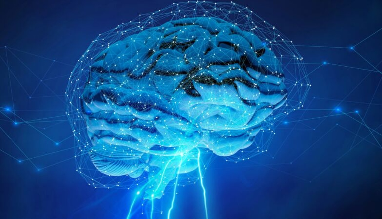 Pesquisa Sul-Coreana Revela Que Açúcar no Cérebro Pode Ser a...