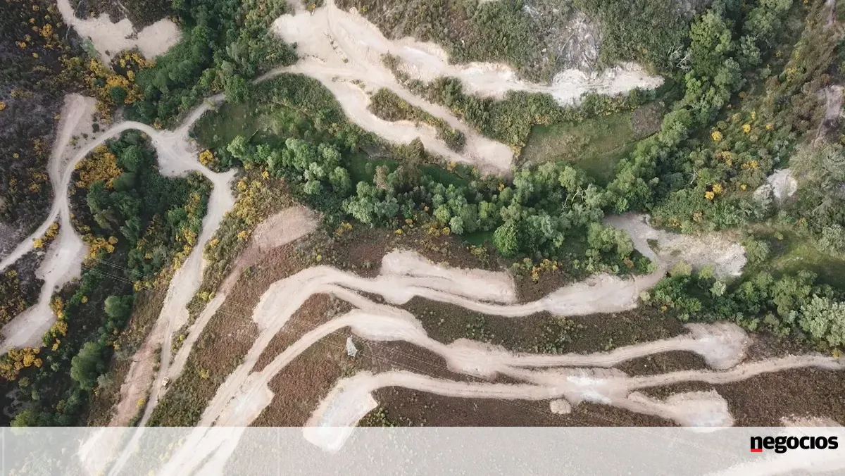 "Portugal tem lítio para ser estratégico na Europa, mas