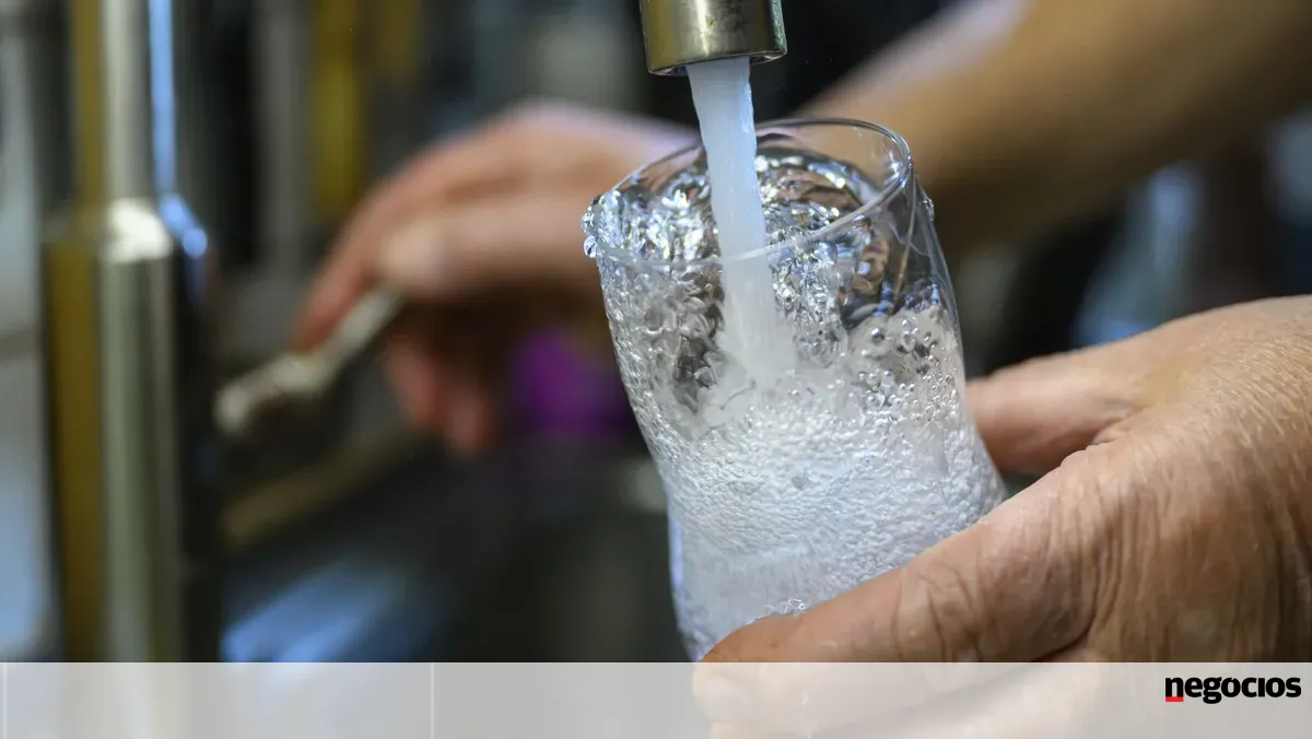 Universidade de Coimbra integra projeto europeu para