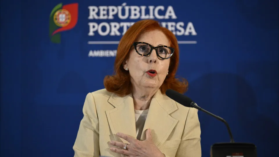 COP30? "Portugal contribuiu para aprovação de decisões