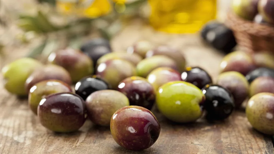 "Da maior importância": Bagaço de azeitona passa de resíduo