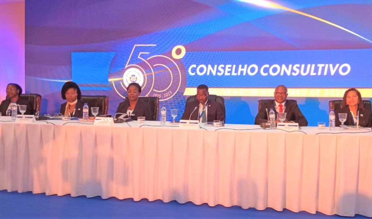 50⁰ Conselho Consultivo do BdM: Rogério Zandamela garante