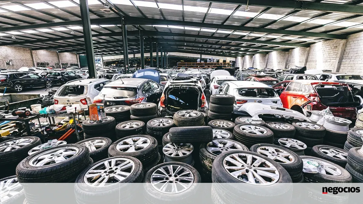 Cluster para a economia circular quer fazer de Portugal uma