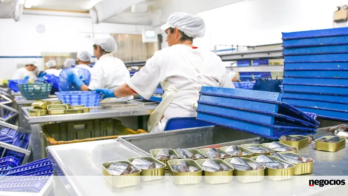 Conservas com recorde de exportações à vista tem EUA em