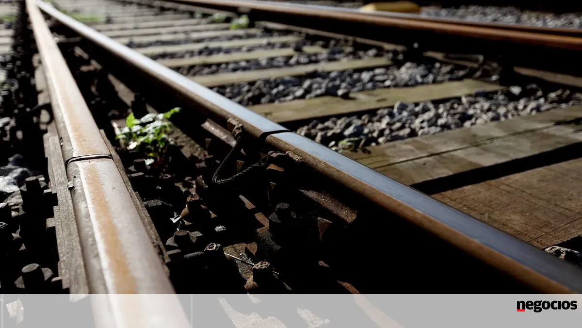 Consulta pública ao relatório do troço Porto-Oiã da linha de