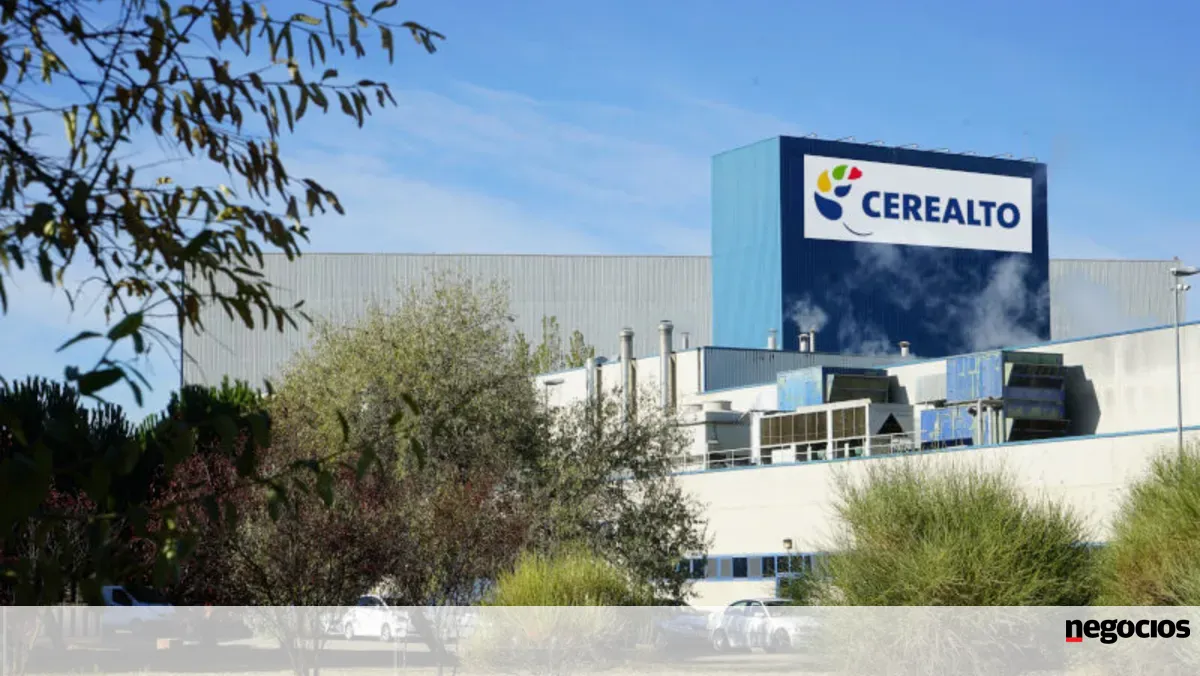 Espanhola Cerealto vai vender divisão de massas e poderá ter