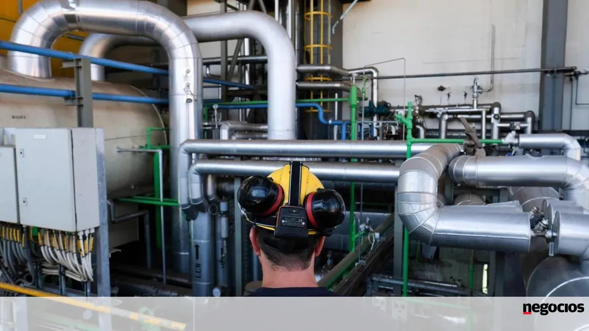 Governo regulamenta leilão para novas centrais de biomassa -