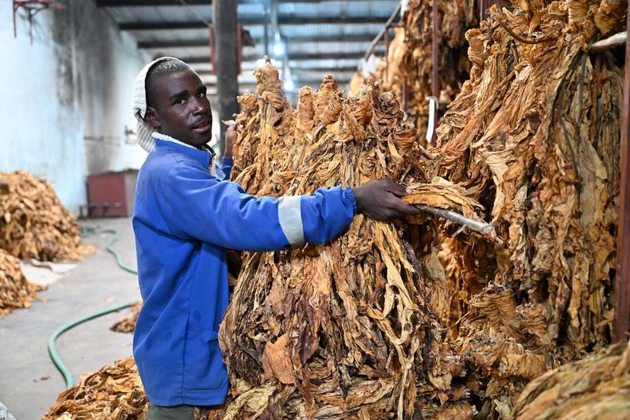 Inauguração de Fábrica de Tabaco Avaliada em 100 M$...