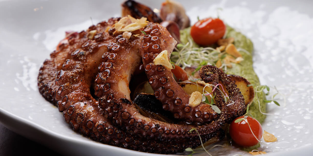 Investigadores Apostam em Biotecnologia Para Produzir Polvo...