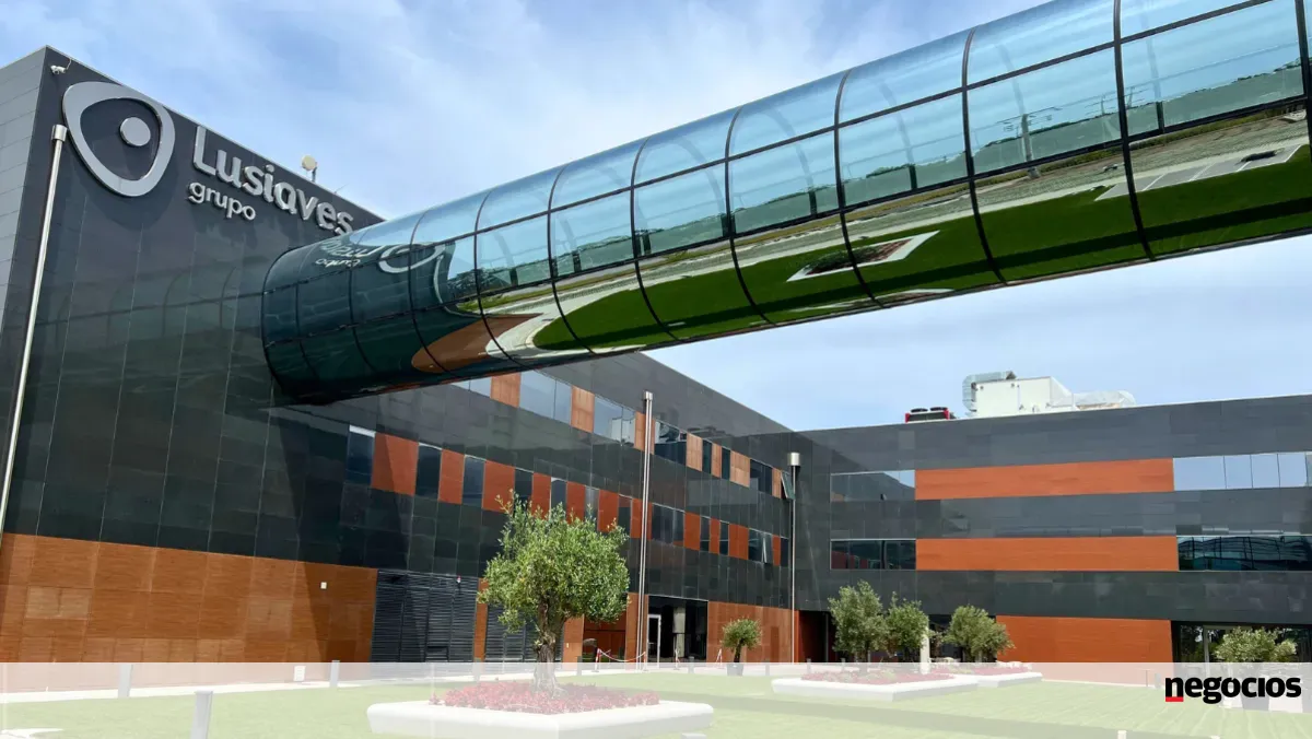 Lusiaves compra Avícola Segoviana e reforça presença em