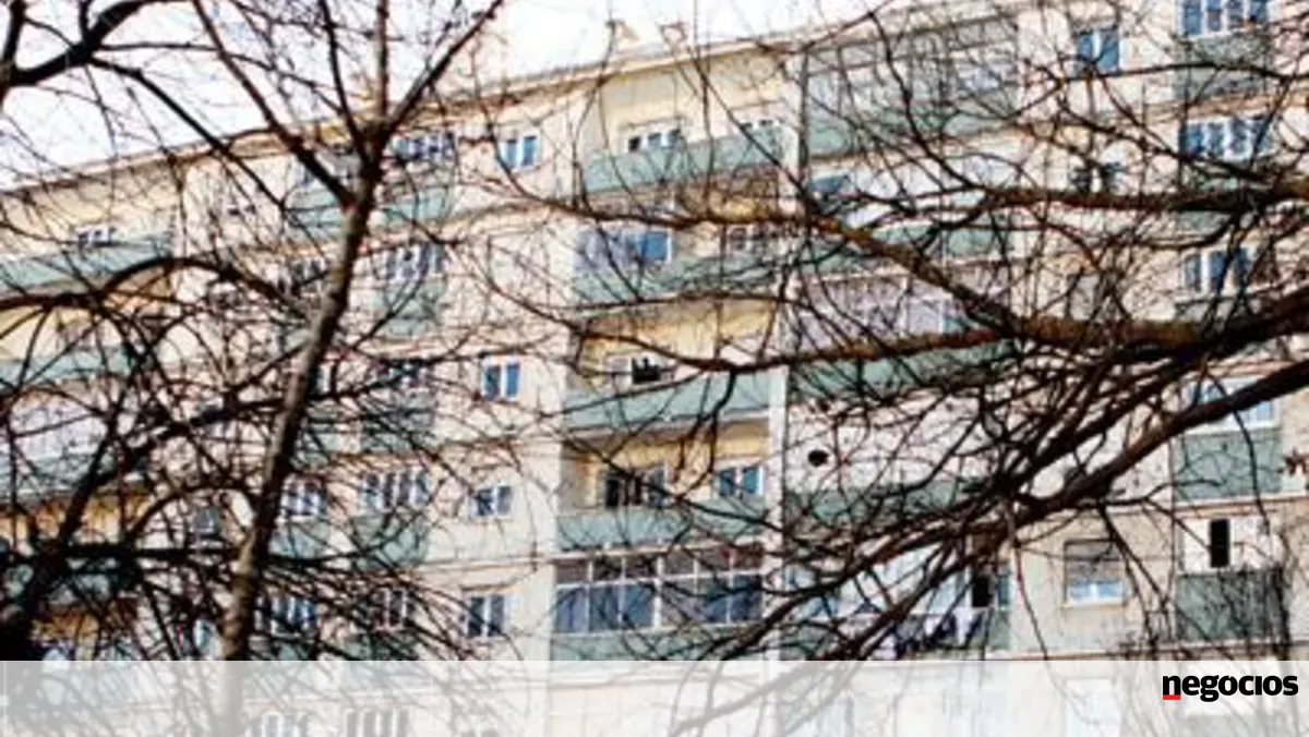 Mais de 40 mil beneficiários com apoio à renda suspenso