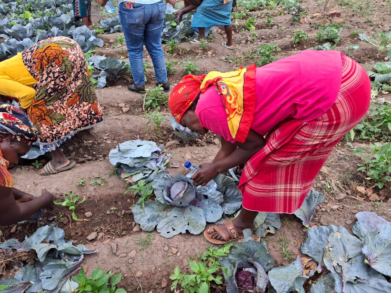 Mulheres debatem impacto da indústria extractiva