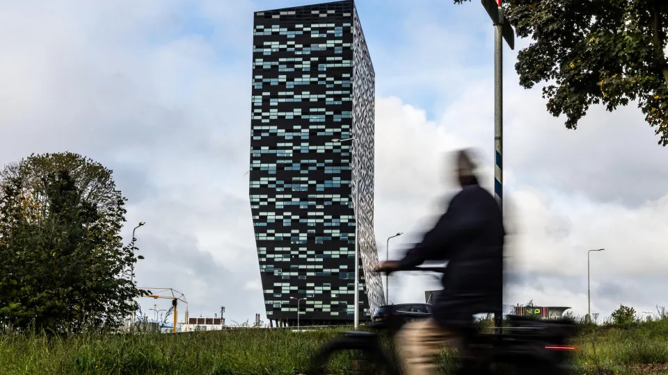 Pequim flexibiliza exportações pela Nexperia para aliviar...