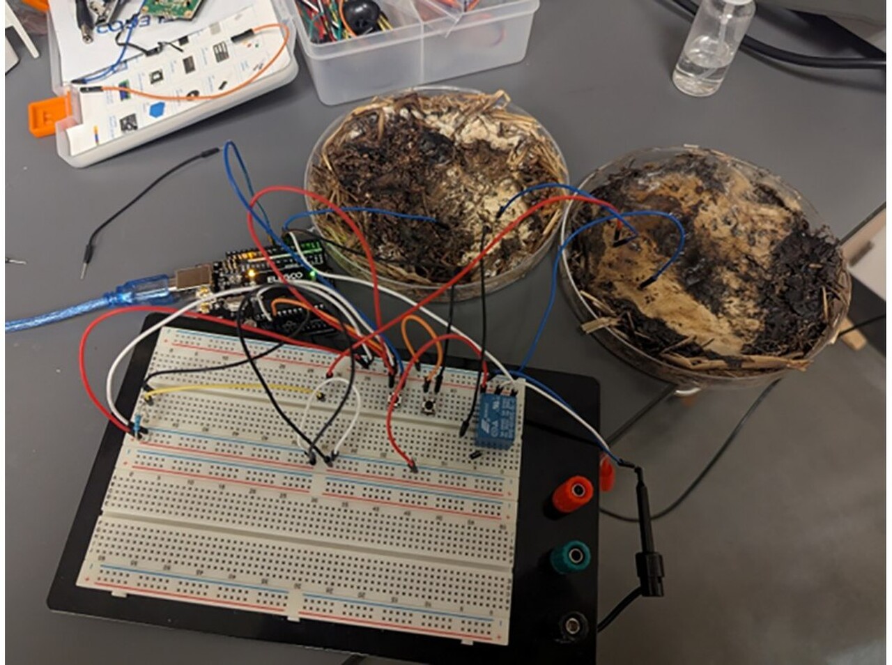 Pesquisadores Desenvolvem Computador Vivo Alimentado Por...