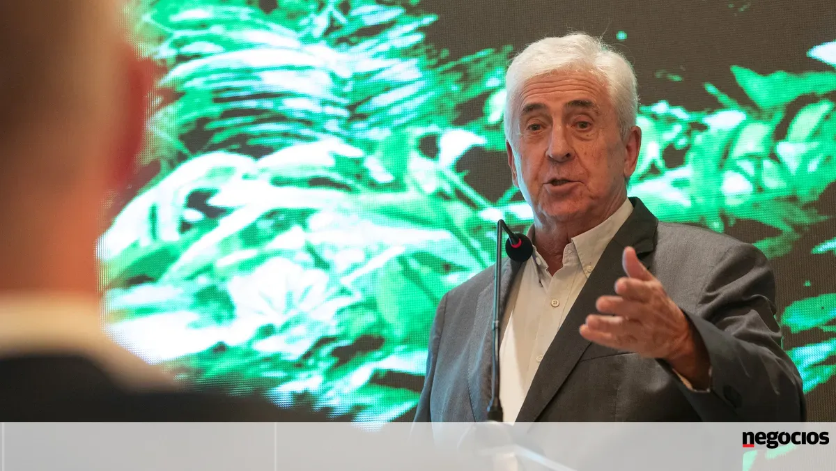 Vila Galé em Belém do Pará: "Foi um desafio e temos um tesão